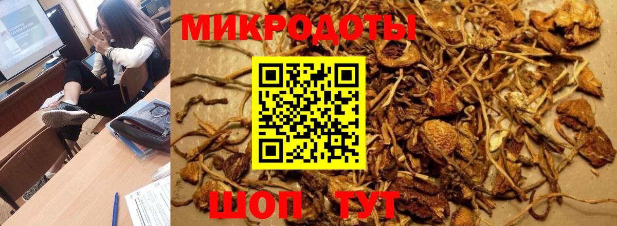 купить закладку  Псилоцибиновые грибы ЛСД  Вход с VPN  Каменск-Шахтинский 